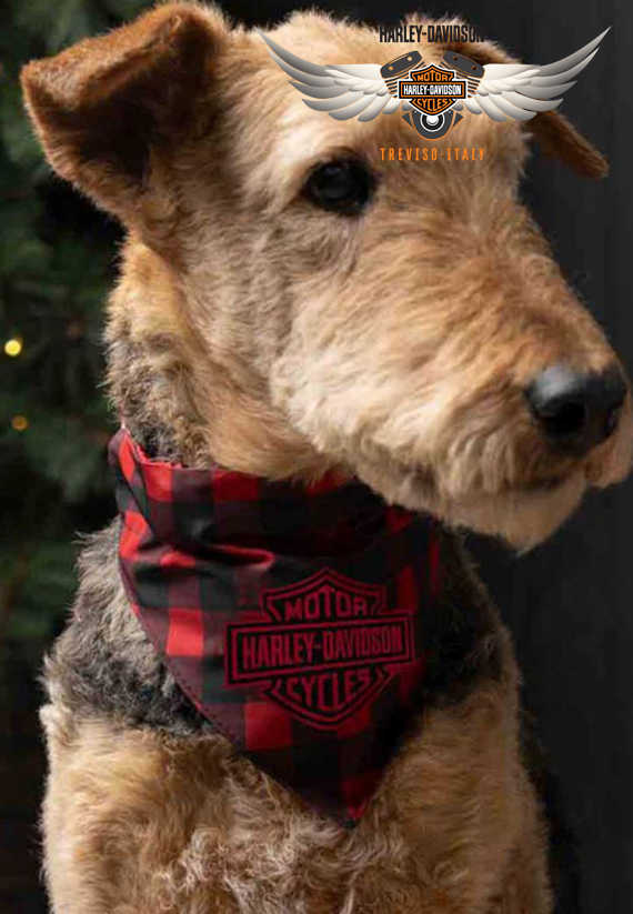 BANDANA COLLARE HARLEY-DAVIDSON S/M CHRISTMAS