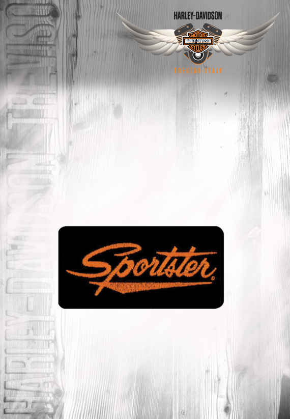 sportster patch