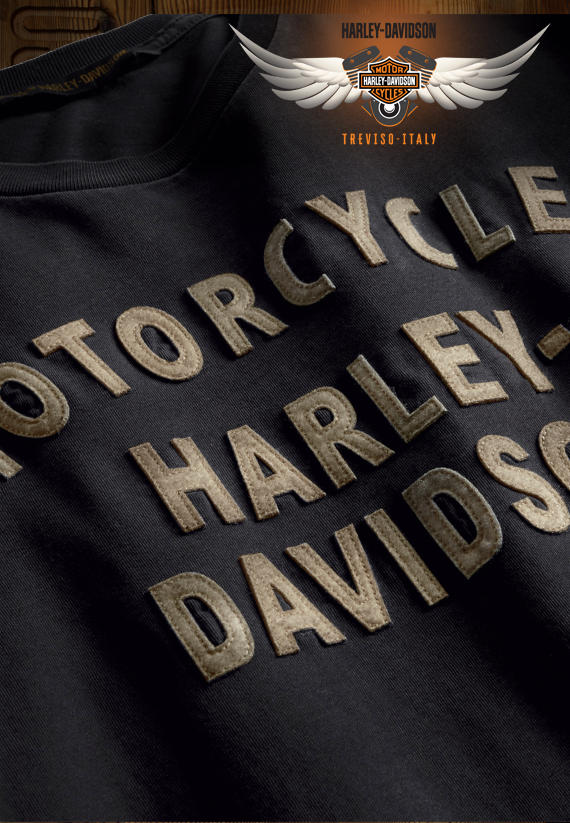 T-shirt HARLEY-DAVIDSON FELT LETTERING
