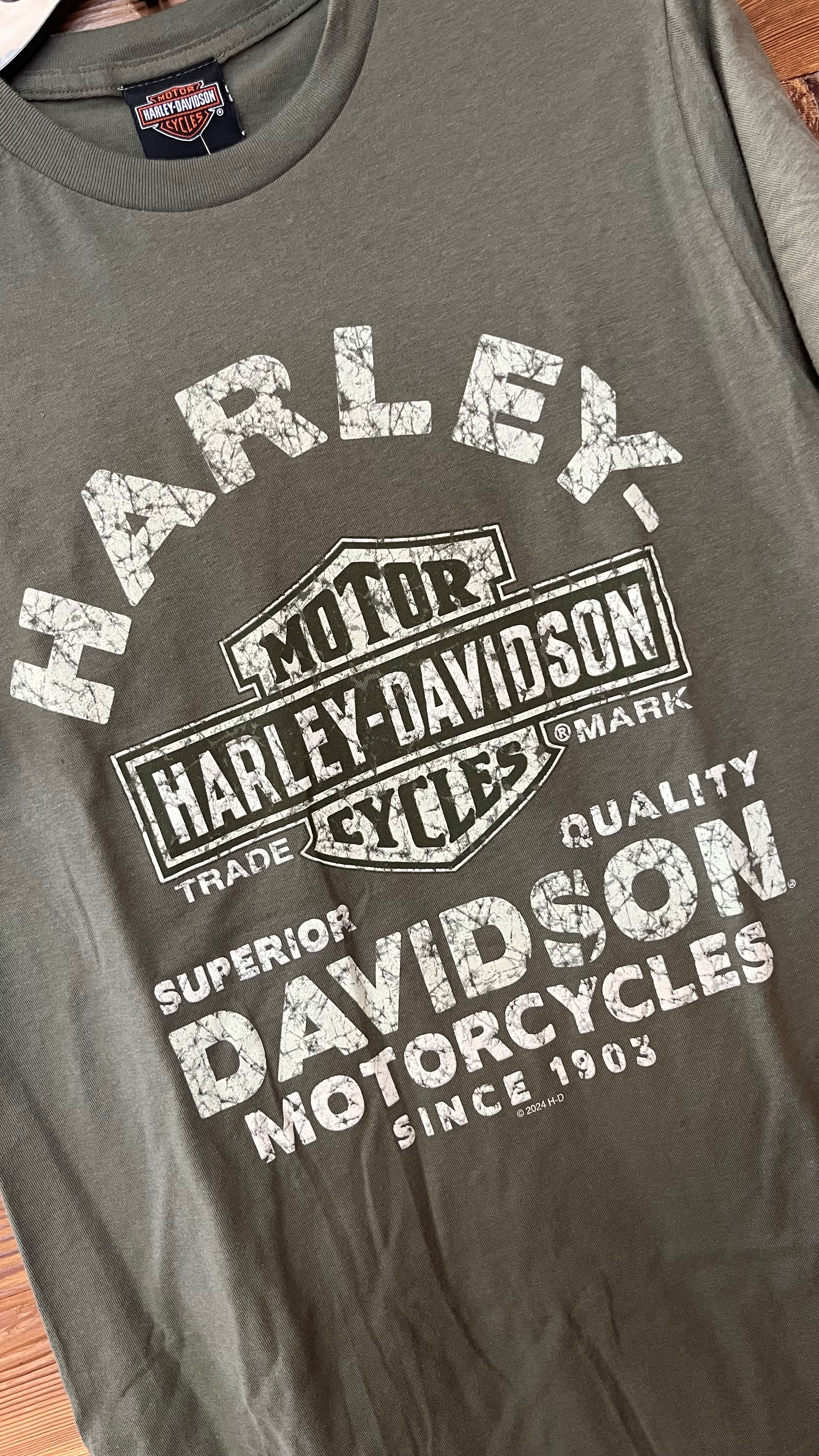 T-SHIRT RAGING HARLEY-DAVIDSON TREVISO 