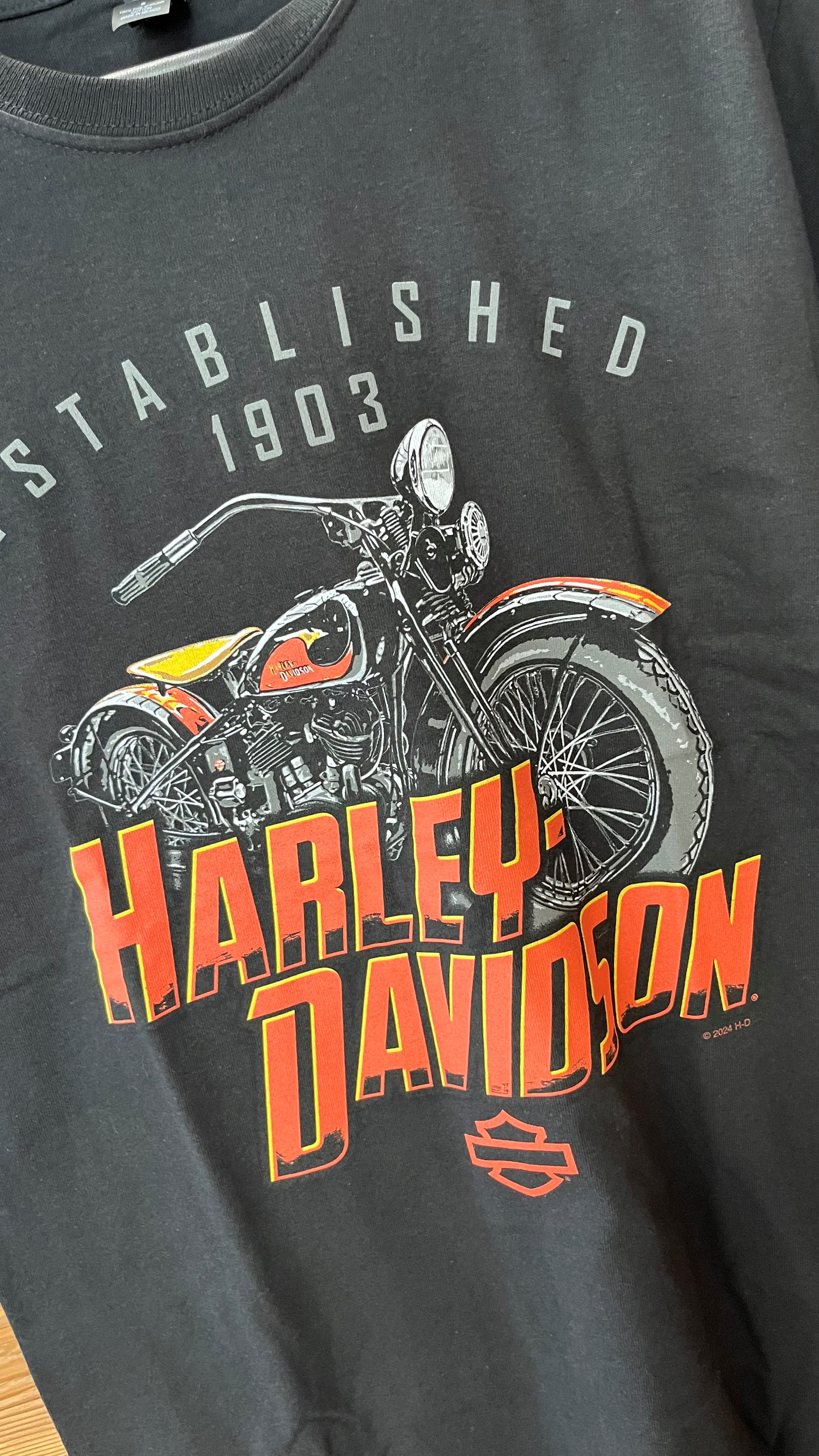 T-SHIRT HARLEY-DAVIDSON FATEFUL