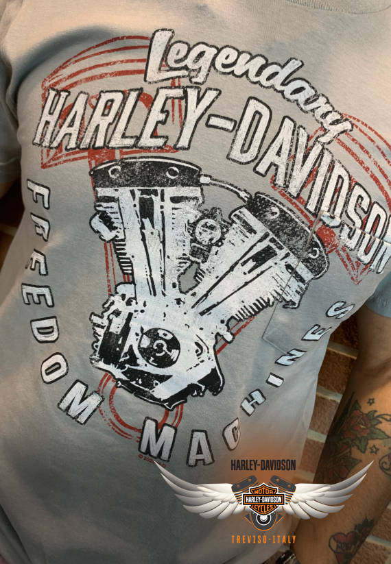 T-SHIRT HARLEY-DAVIDSON ENGINE WORKS